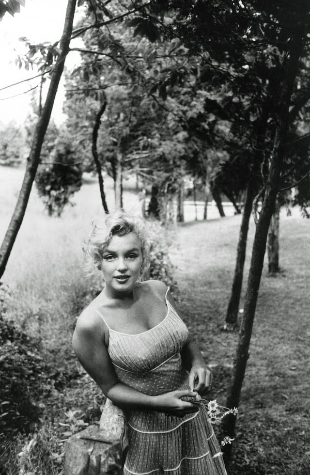 Marilyn Monroe: Best Profile Images of the Famous Model and Actress - Image 1
