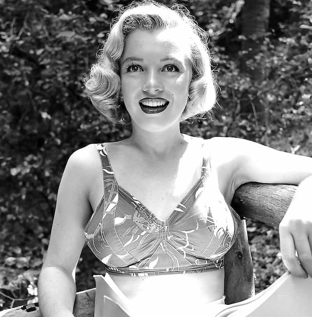 Marilyn Monroe: Best Profile Images of the Famous Model and Actress - Image 4