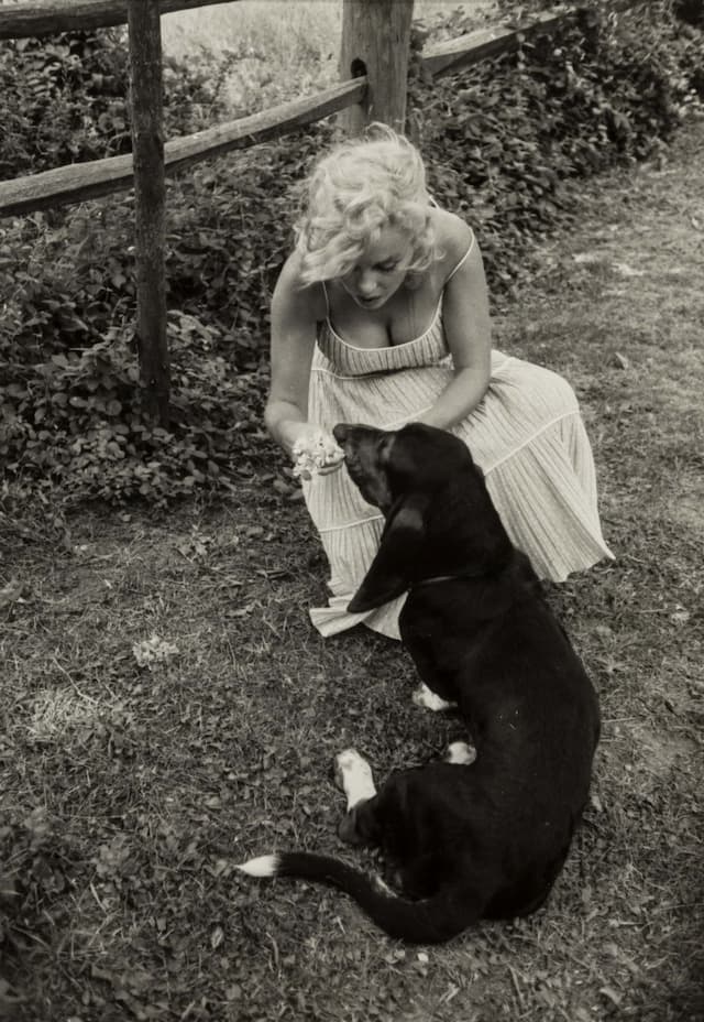 Marilyn Monroe: Best Profile Images of the Famous Model and Actress - Image 13